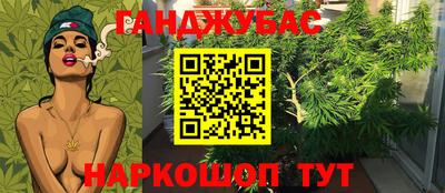 ALPHA-PVP Новозыбков