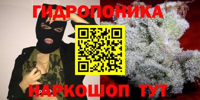 ALPHA-PVP Новозыбков